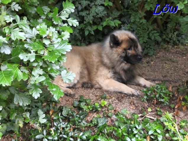 21.7.2025 - Waldesruh